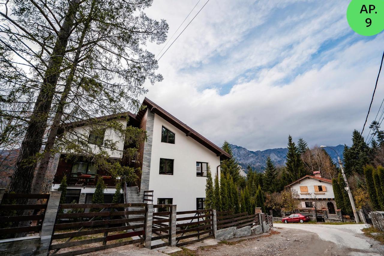 Panoramic Apartments - Montepalazzo Sinaia Exterior photo